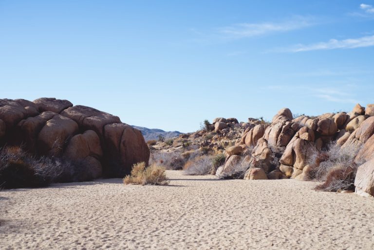 Embracing the Outdoors: A Budget-Friendly Adventure